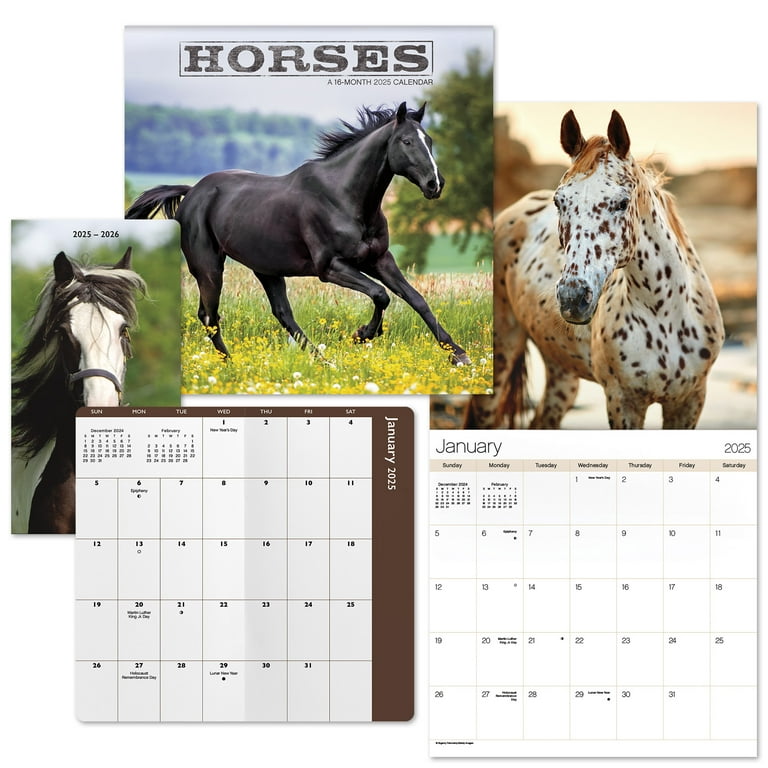 Horse Calendar - Calendars 2022 - 2023 Wall Calendars