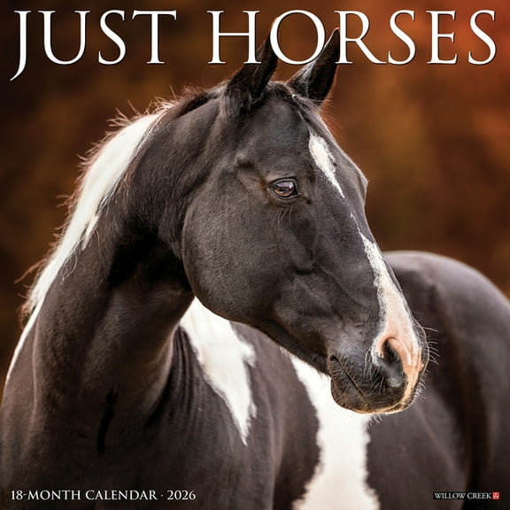 Horses 2026 Wall Calendar, (Paperback)