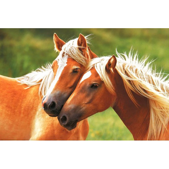 Horses (Blondes) Art Poster Print Poster - 36x24