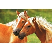 Horses Blondes Art Poster Print Poster - 36x24