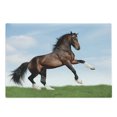 thumbnail image 1 of Horses Cutting Board, Bay Horse Pacing on the Grass Energetic Noble Character of the Nature Concept, Decorative Tempered Glass Cutting and Serving Board, Large Size, Blue Green Brown, by Ambesonne, 1 of 1