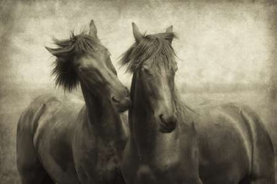 Horses Dont Whisper Canvas Art - Lars Van de Goor (12 x 18)