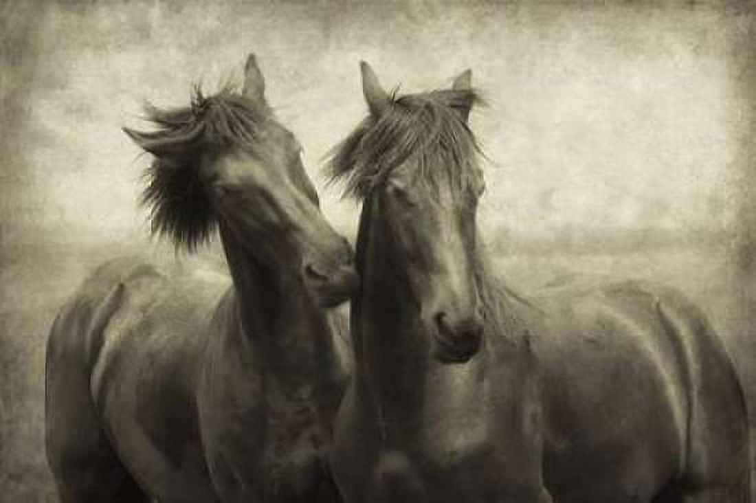 Horses Dont Whisper Canvas Art - Lars Van de Goor (24 x 36)