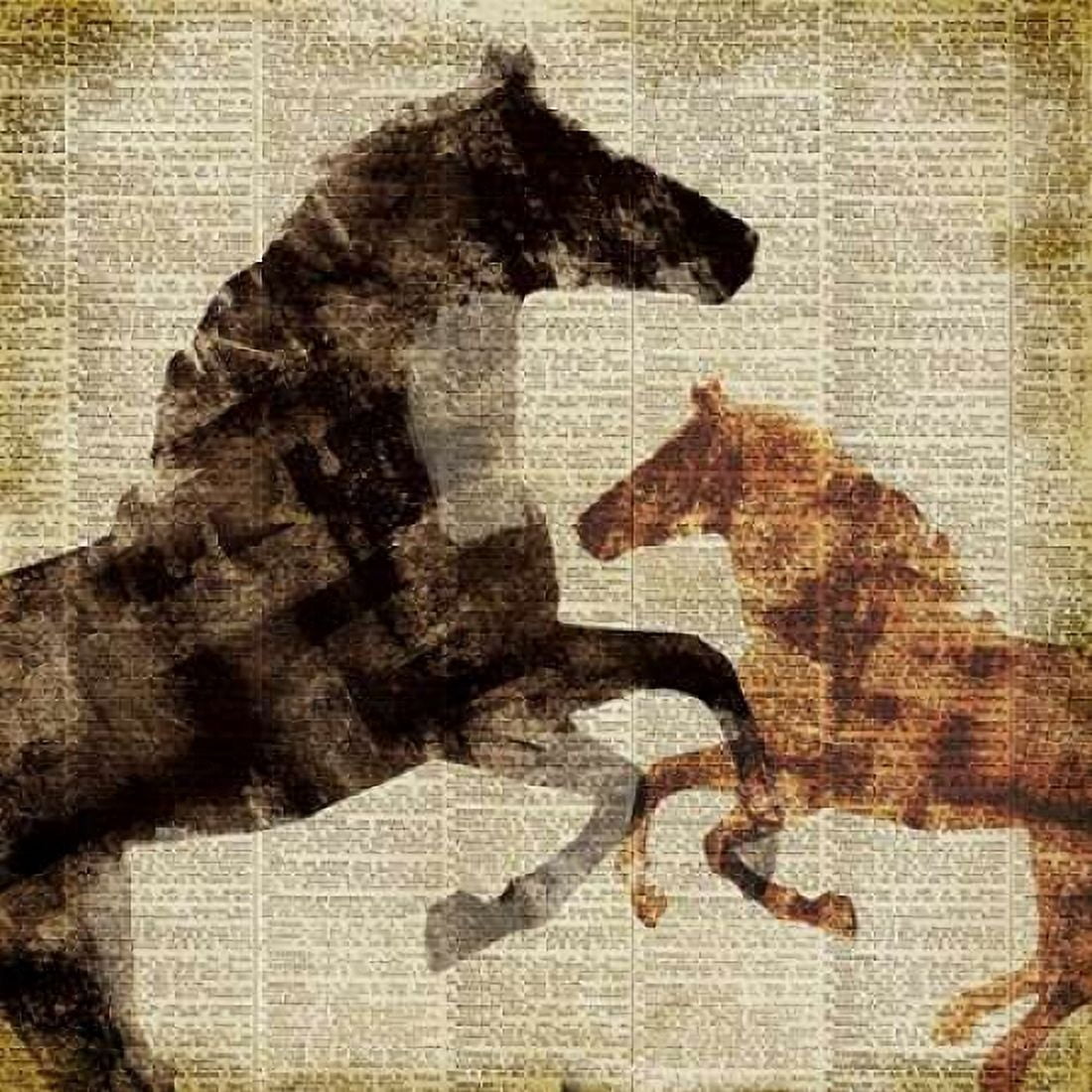 Horses I Canvas Art - Dan Meneely (24 x 24)