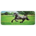 thumbnail image 1 of Horses Kitchen Mat, Friesian Male Horse Masculine Driving Force of Life Power Inner Strength, Plush Decorative Kitchen Mat with Non Slip Backing, 47" X 19", Black Green, by Ambesonne, 1 of 1