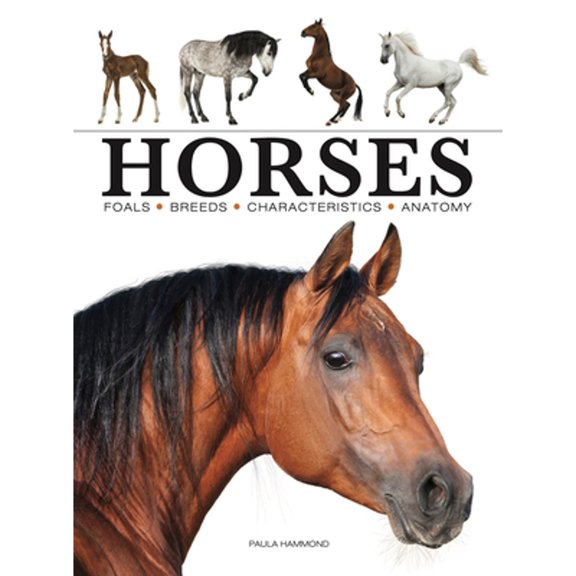 Pre-Owned Horses (Paperback) 1838862595 9781838862596