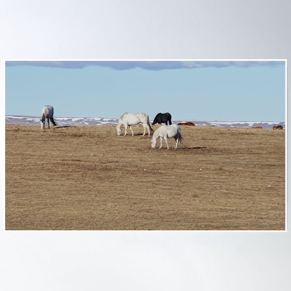Horses On A Hillside Poster Wall Art, Modern Wall Decor, 12x18 UNFRAMED