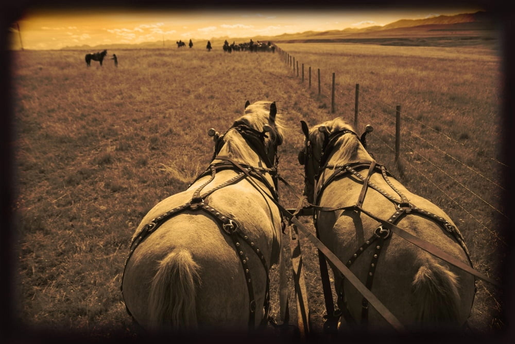 Horses Pulling Carriage Canvas Art - Carson Ganci  Design Pics (17 x 11)