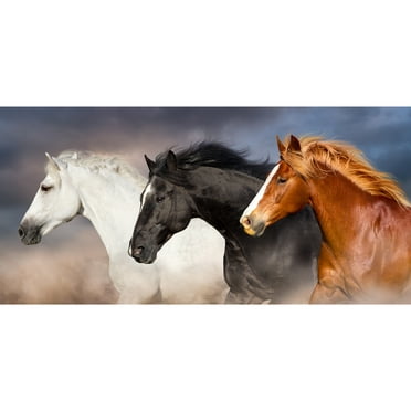 Horses Racing Poster Portrait Stallion Mare Wild Horses Decor Galloping Running Wall Art Decor Pictures Photographs Print Western Gift Room Home Cool Wall Art Print Poster 18x12