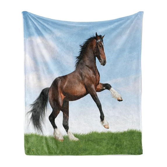 Horses Soft Flannel Fleece Blanket, Bay Horse Pacing on the Grass Energetic Noble Character of the Nature Concept, Cozy Plush for Indoor and Outdoor Use, 70" x 90", Blue Green Brown, by Ambesonne