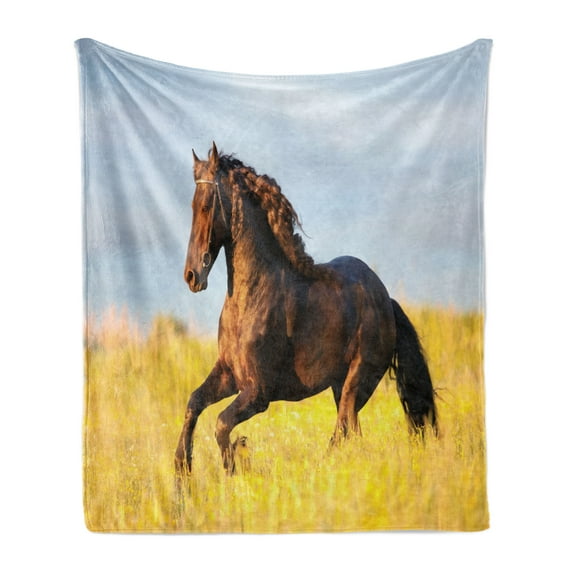 Horses Soft Flannel Fleece Throw Blanket, Friesian Animal Mane Gallops in Meadow Mystery Vitality Horse, Cozy Plush for Indoor and Outdoor Use, 50" x 60", Yellow Brown Blue, by Ambesonne