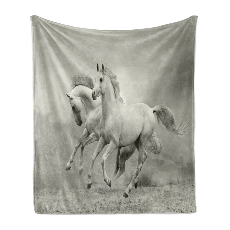 Freedom throws new arrivals