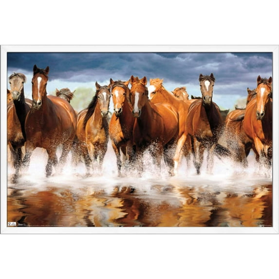 Horses Wall Poster, 22.375" x 34", Framed