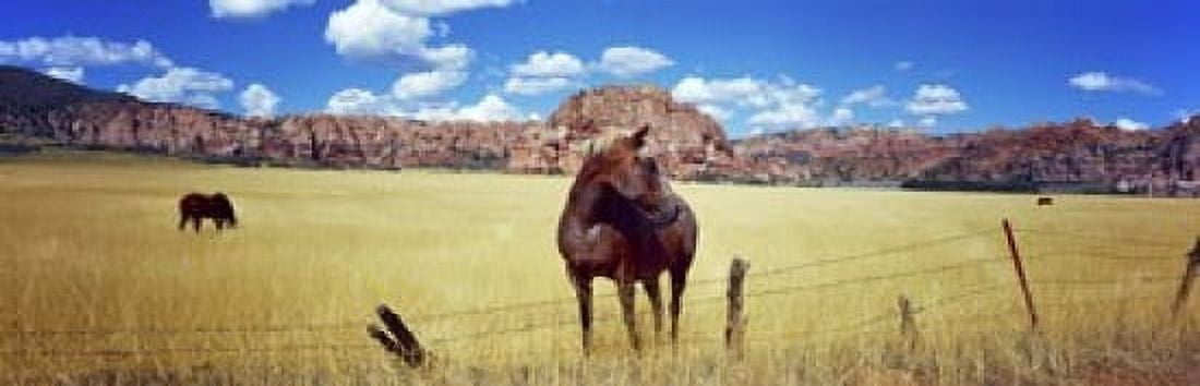 Horses grazing in a meadow Kolob Reservoir Utah USA Canvas Art - Panoramic Images (18 x 6)
