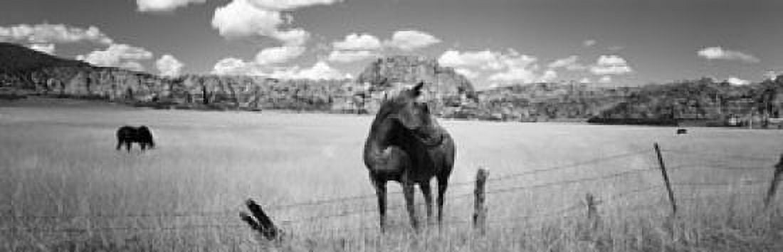 Horses grazing in a meadow Kolob Reservoir Utah USA Canvas Art - Panoramic Images (36 x 12)