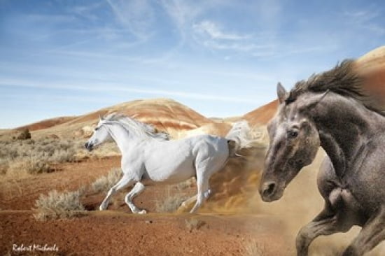 Horses in the Painted Hills Canvas Art - Robert Michaels (19 x 13)