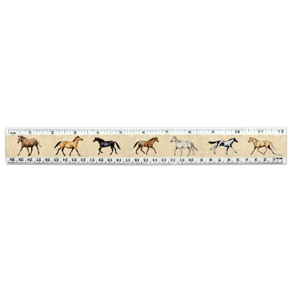 Horses of Different Colors 12 Inch Standard and Metric Plastic Ruler