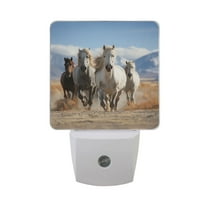 Horses on Field Night Light LED Dusk to Dawn Auto Sensor Night Lamp Plug-in Nightlight for Bedroom Hallway Kitchen 2 PCs