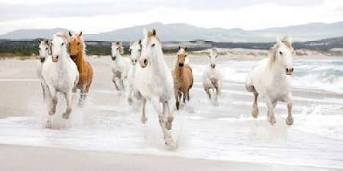 Horses on the beach Canvas Art - Zero Creative STUDIO (10 x 20)