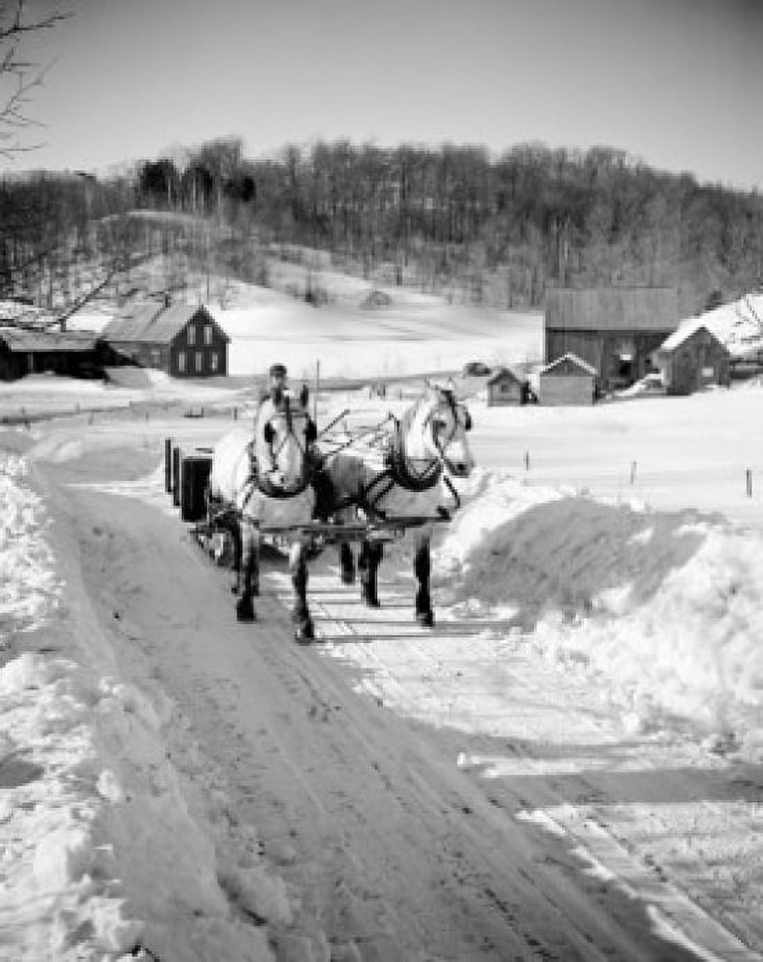 Horses pulling sleigh in winter Canvas Art - (18 x 24)