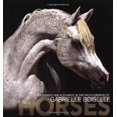 thumbnail image 1 of Pre-Owned Horses (Hardcover) 8854401552 9788854401556, 1 of 1