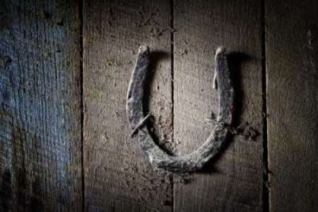 Horseshoe Canvas Art - C Thomas McNemar (24 x 36)