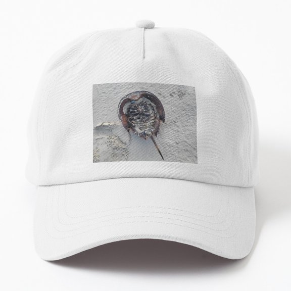 Horseshoe Crab Baseball Cap, Ocean Graphic Design