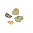 thumbnail image 1 of Horseshoe Crab, Learn the Horseshoe Crab Life Cycle, Very Nice Plastic Figure, Model, Realistic Replica, Educational, Figurine, Animal, Life Like, 4 Stages, 5" CH08 B231, 1 of 7