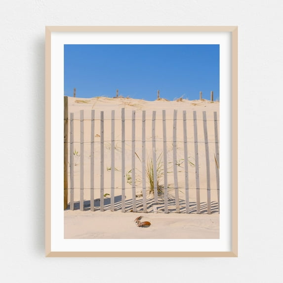 Horseshoe Crab Shell in the Dunes - Photography Oak Framed Wall Art Print 9 x 12 inches