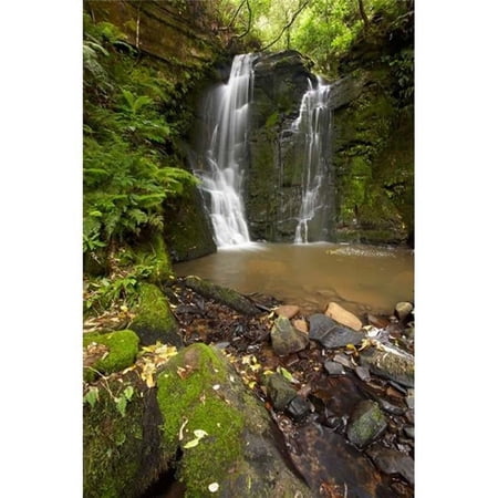 Horseshoe Falls Matai Falls Catlins New Zealand Poster Print by David Wall - 19 x 29 in.