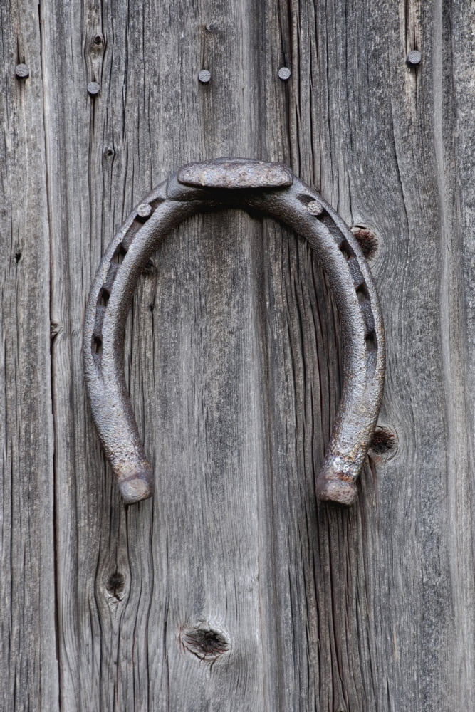 Horseshoe Hanging On A Wooden Wall Iron Hill Quebec Canada Canvas Art - David Chapman Design Pics (12 x 19)