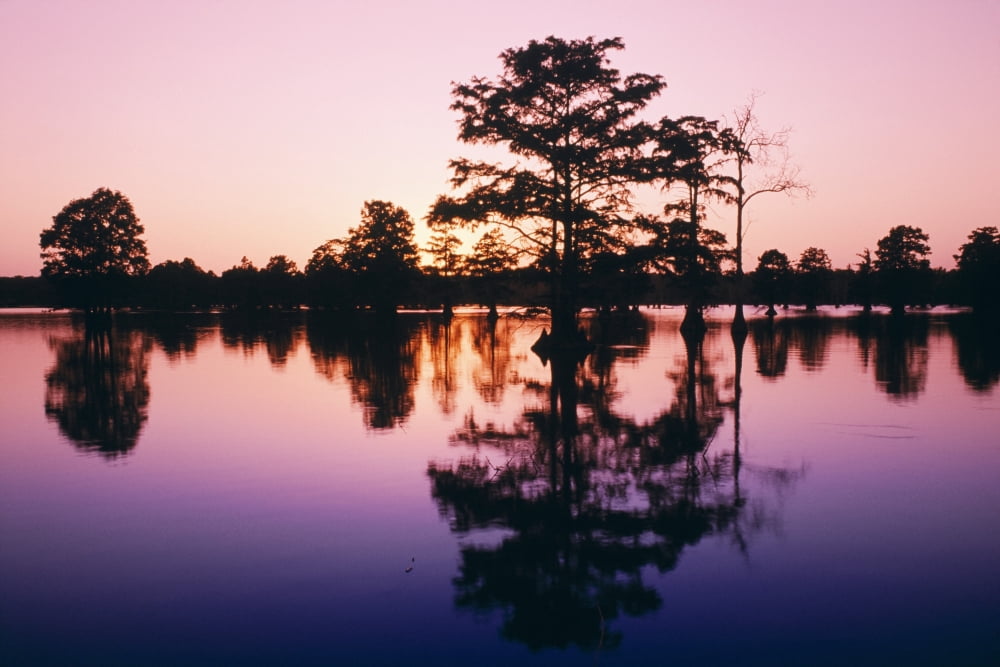 Horseshoe Lake At Dusk Canvas Art - Bilderbuch  Design Pics (36 x 24)