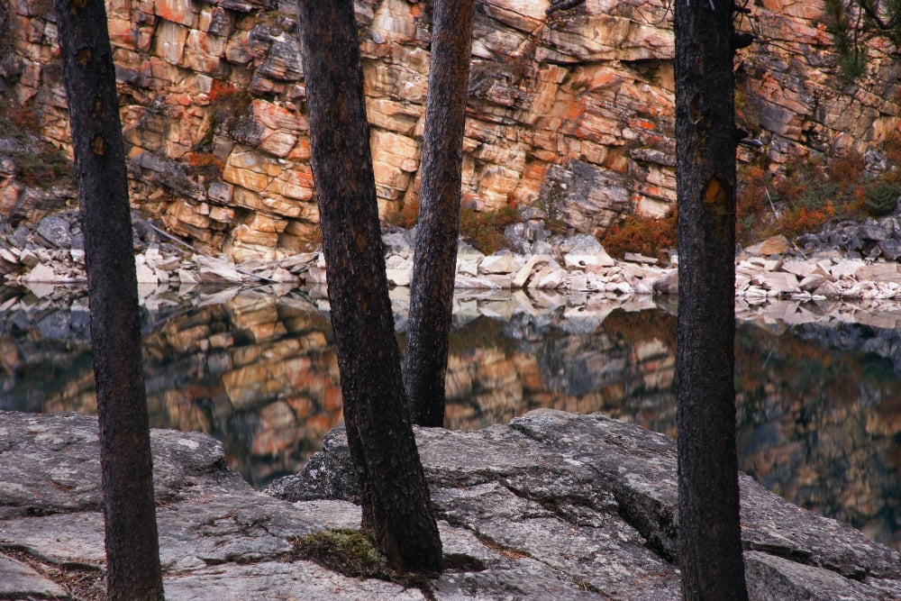 Horseshoe Lake Jasper National Park Alberta Canada Canvas Art - Carson Ganci Design Pics (34 x 22)