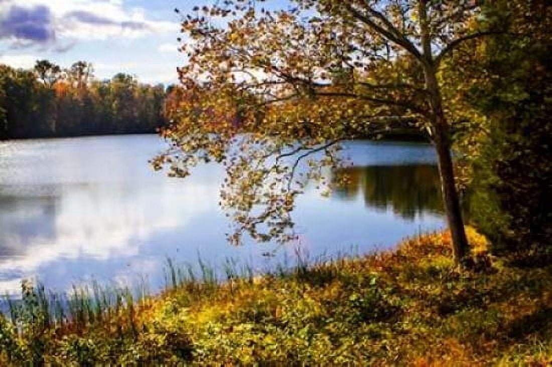 Horseshoe Lake in Autumn Canvas Art - Alan Hausenflock (20 x 28)