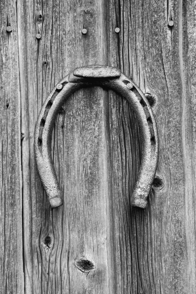 Horseshoe hung on a wooden wall Iron Hill Quebec Canada Canvas Art - David Chapman Design Pics (12 x 19)