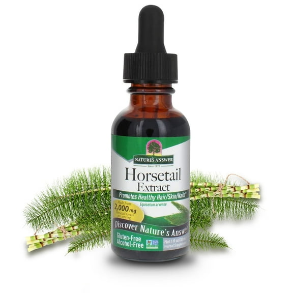 Natures Answer Horsetail Extract 2,000 mg, Alcohol-Free, Herbal Supplement, 1 fl oz