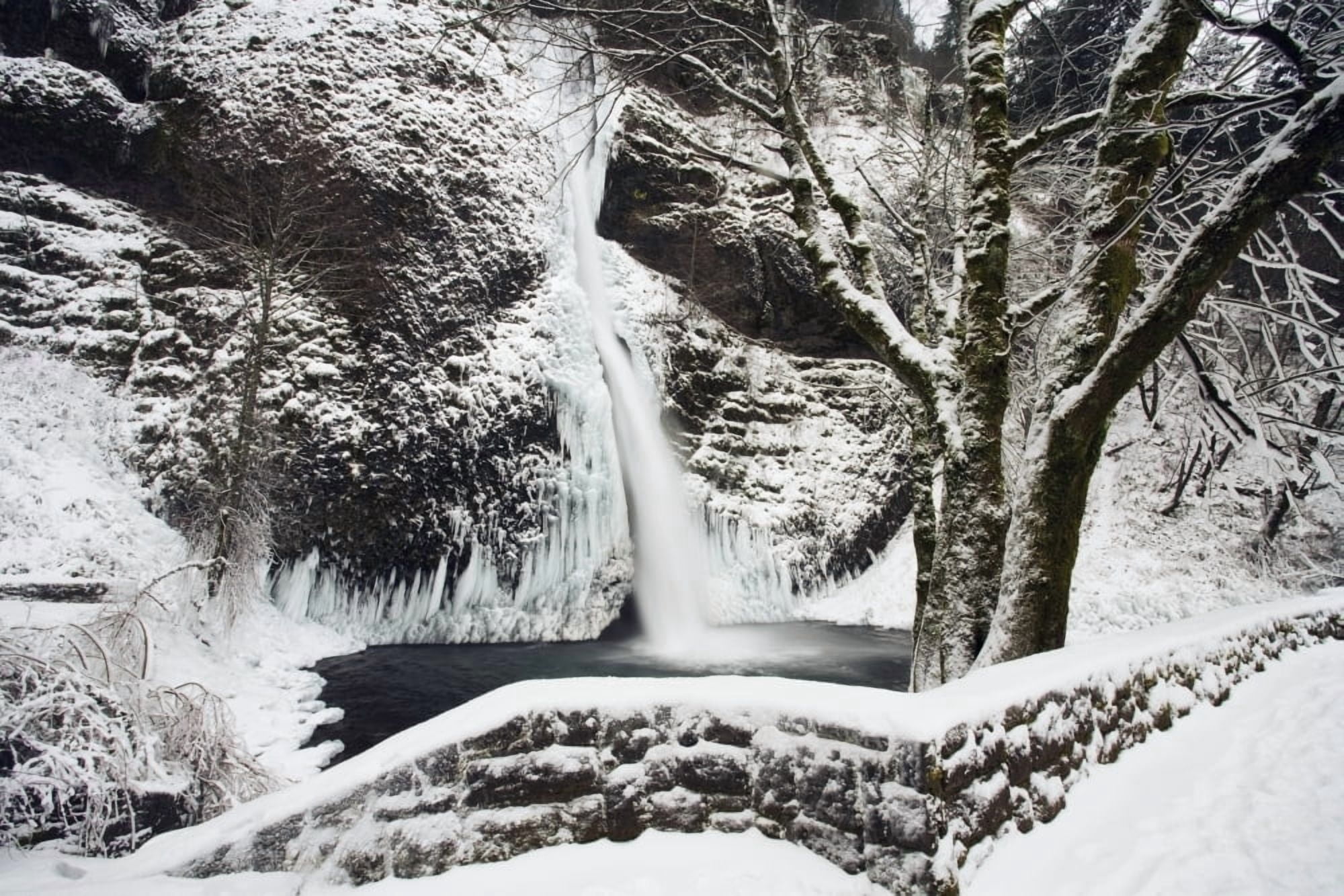 Horsetail Falls Columbia River Gorge National Scenic Area Oregon Usa Canvas Art - Craig Tuttle Design Pics (19 x 12)