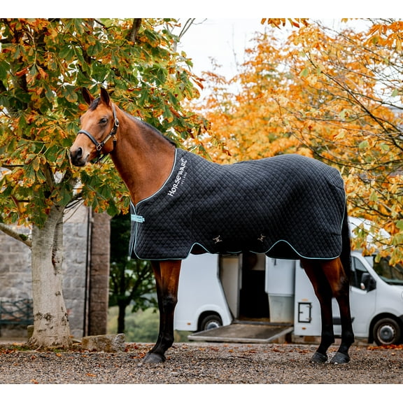 Horseware® Autumn Cooler (50g Light) (Black/Aqua & Silver, 81")