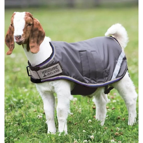 Horseware® Goat Coat (Excalibur/Silver/Strong Blue/Black, XS)