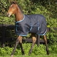 thumbnail image 1 of Horseware Ireland  Amigo Foal Blanket Turnout 200g Navy/Electricblue 42/48, 1 of 2