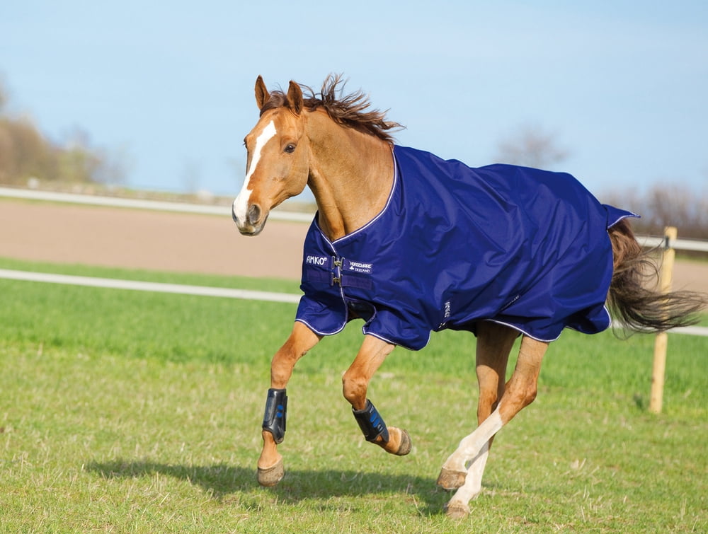 Amigo Plus Pony 600D Medium 200g by Horseware Ireland - Equi Products