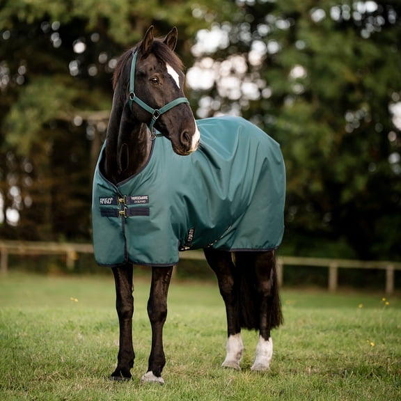 Horseware Ireland Amigo Ripstop 900D Turnout 100g Dynasty Green 81