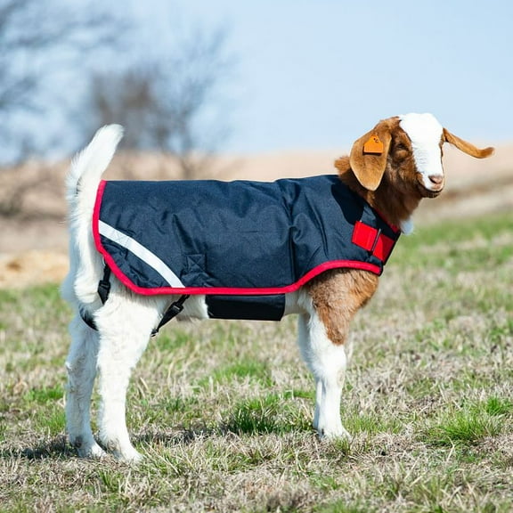 Horseware Ireland Navy/Red 100g Goat Coat Navy/Red XL