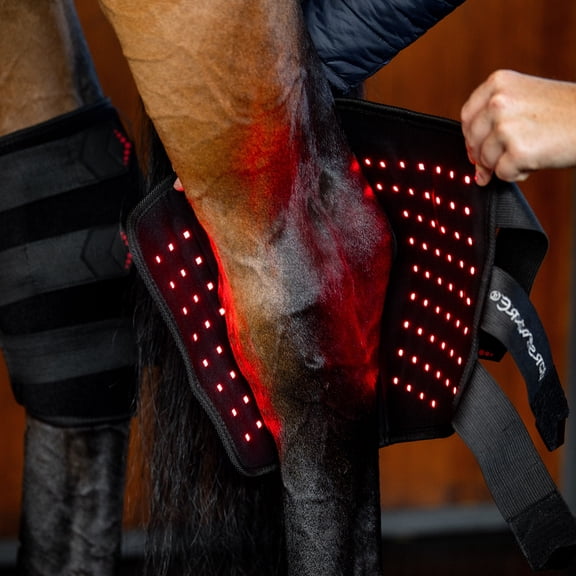 Horseware LED Red Light Therapy Left Hock Boot