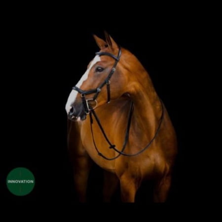 HW Micklem 2 Competition Bridle Large Horse Havana