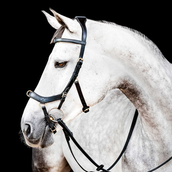 Horseware Micklem 2 Multi Bridle Horse Black