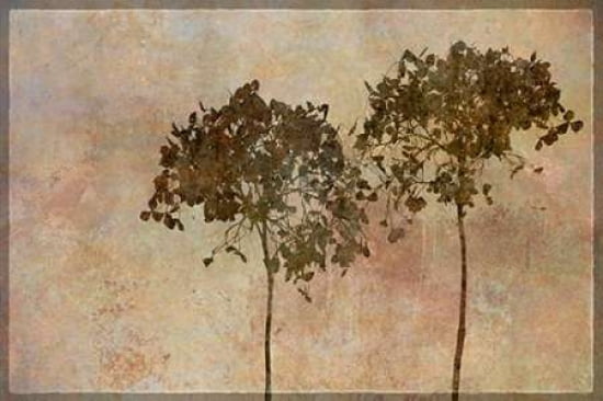 Hortensia Shadow Play Canvas Art - Cora Niele (24 x 36)