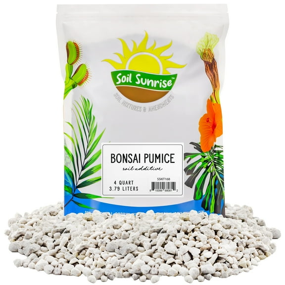 Horticultural Bonsai Pumice Soil Additive (4 Quarts), 7LB Ideal Substrate for Bonsai Trees, Cactus and Succulents