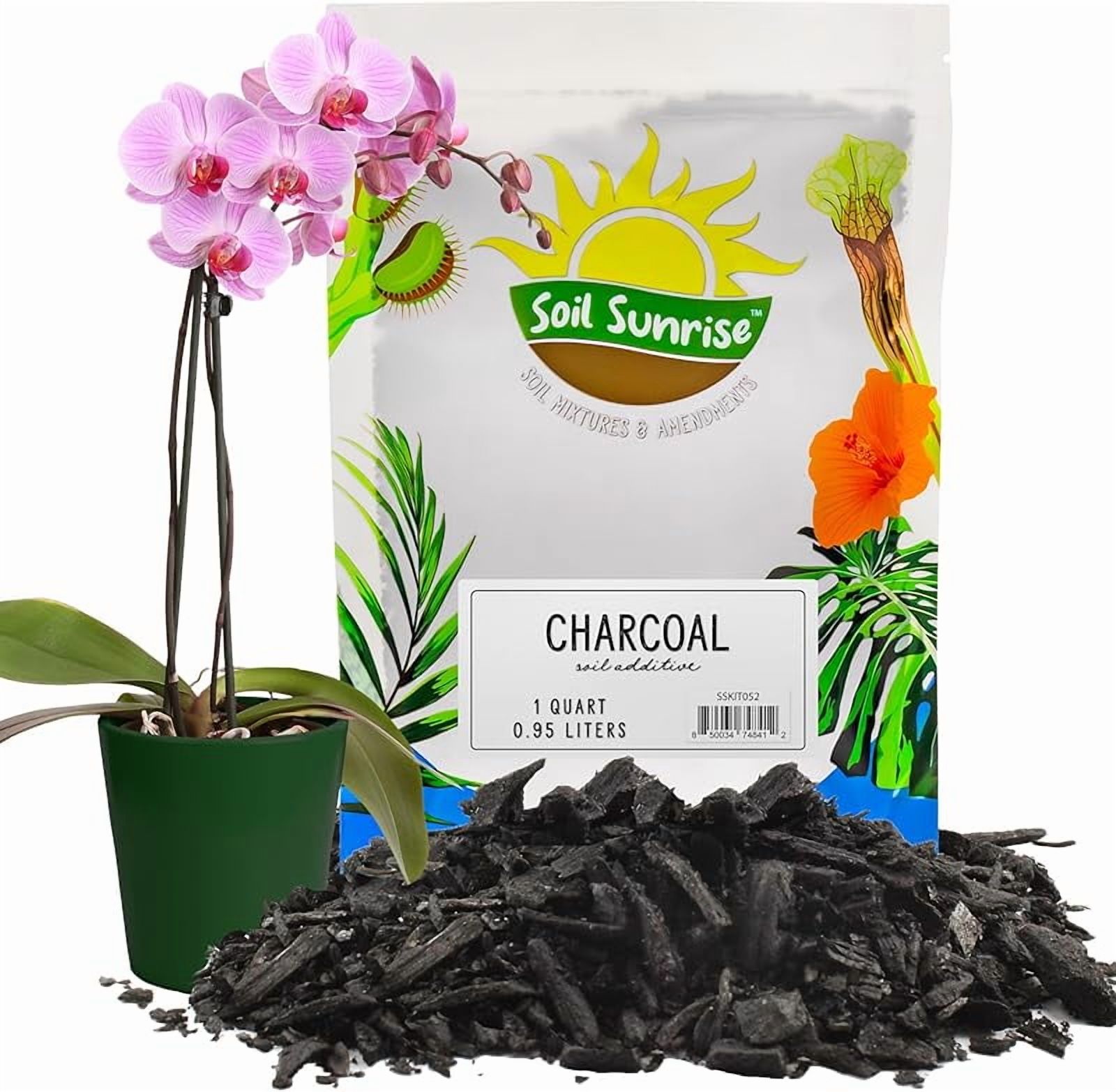 Horticultural Charcoal for Indoor Plants (1 Quart), Hardwood Soil ...