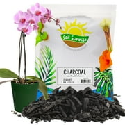 Horticultural Charcoal for Indoor Plants 2 Quarts, Hardwood Soil Additive for Orchids, Terrariums, and Gardening